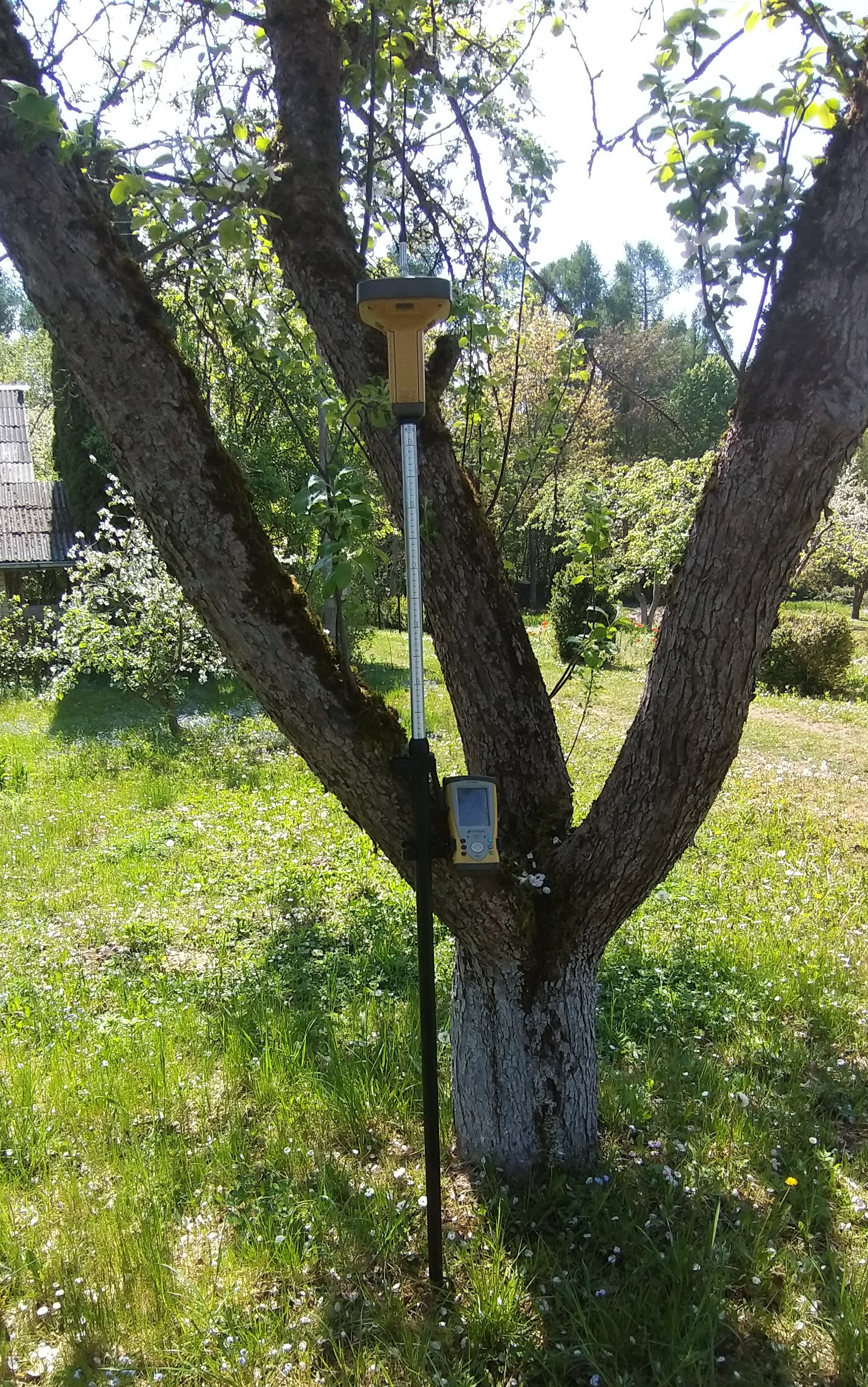 20190512_140206.jpg