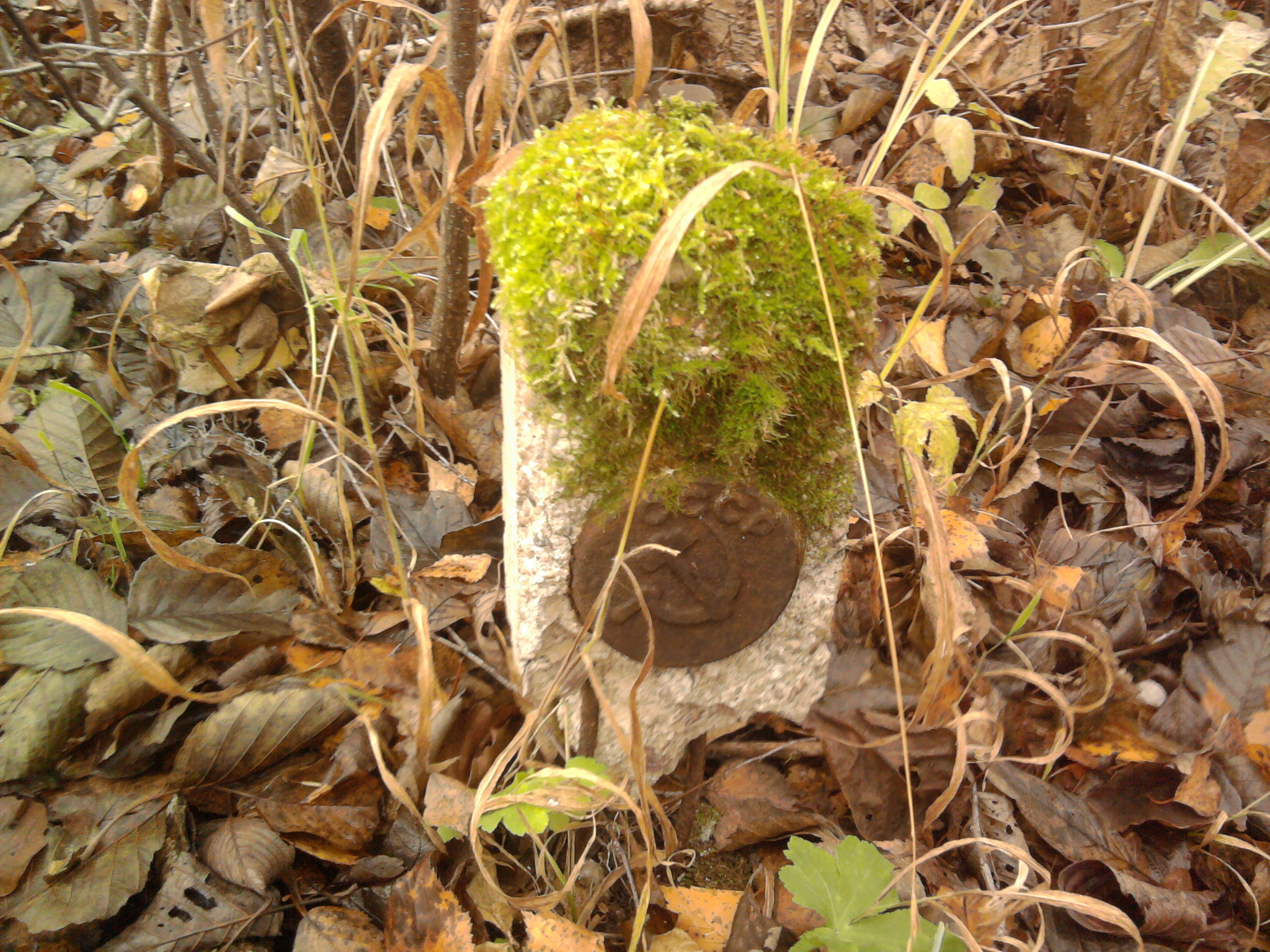 Nuotrauka0426.jpg