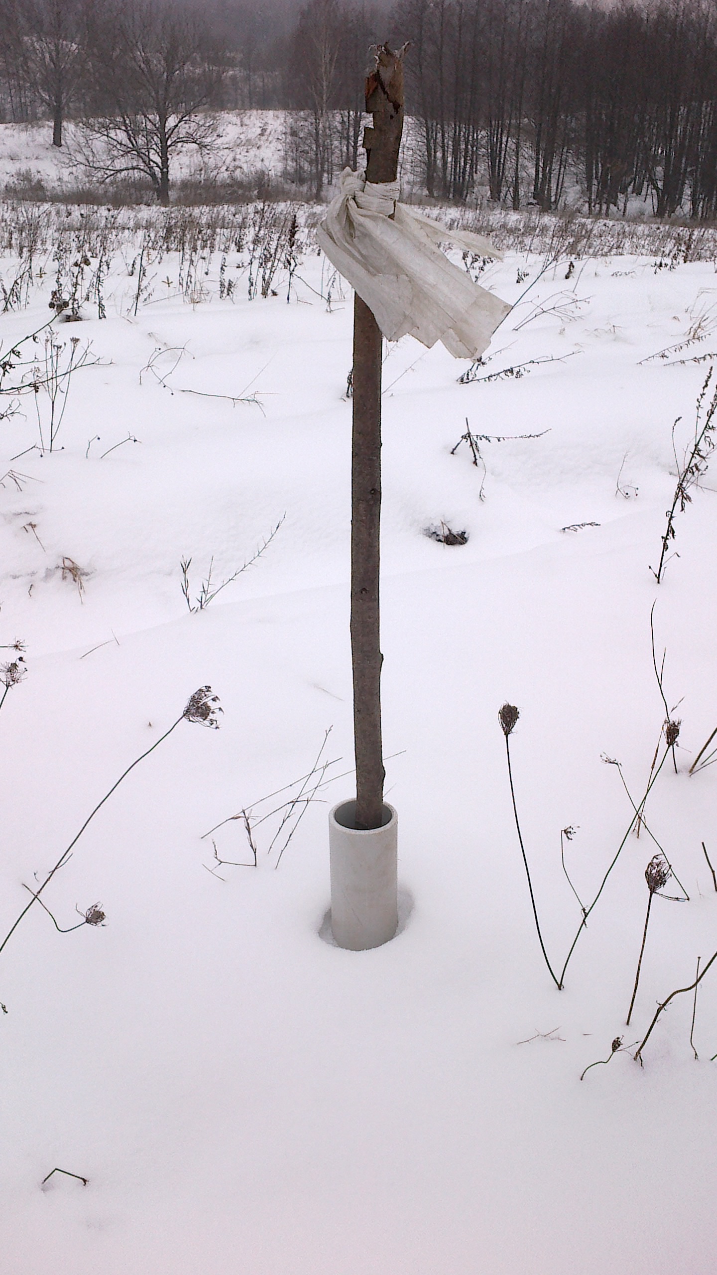 20120214044.jpg