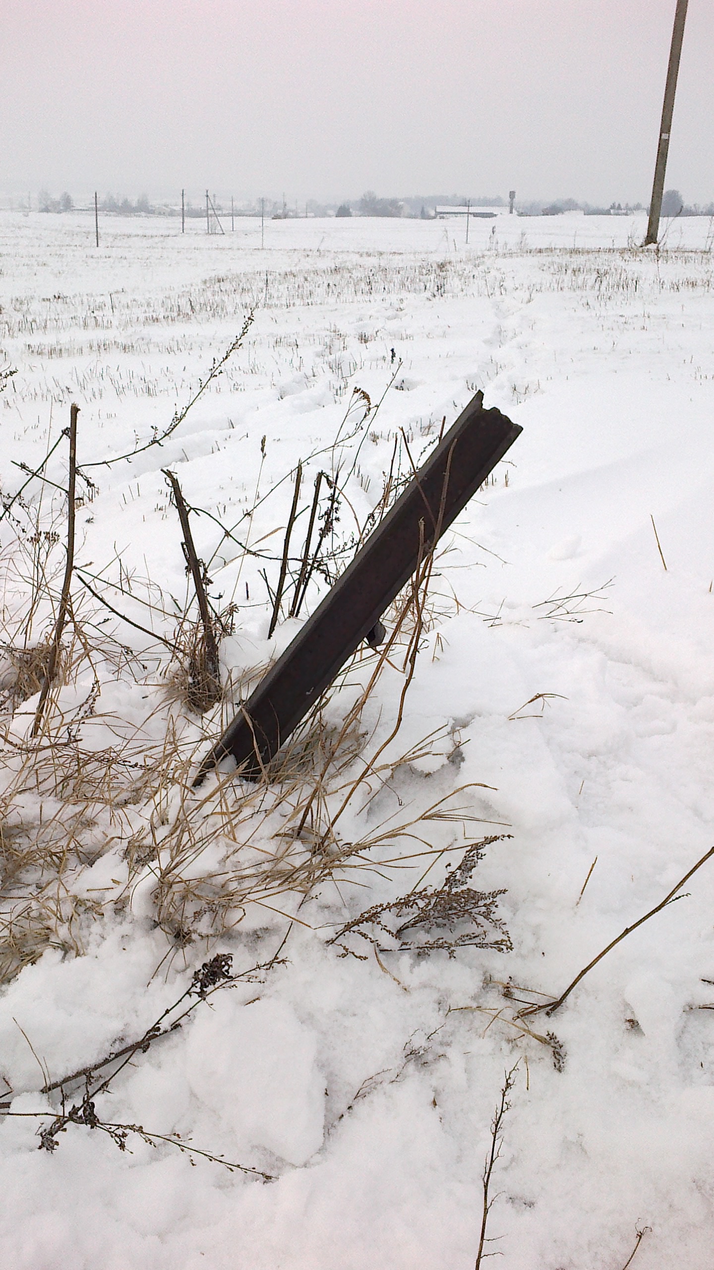 20120214045.jpg