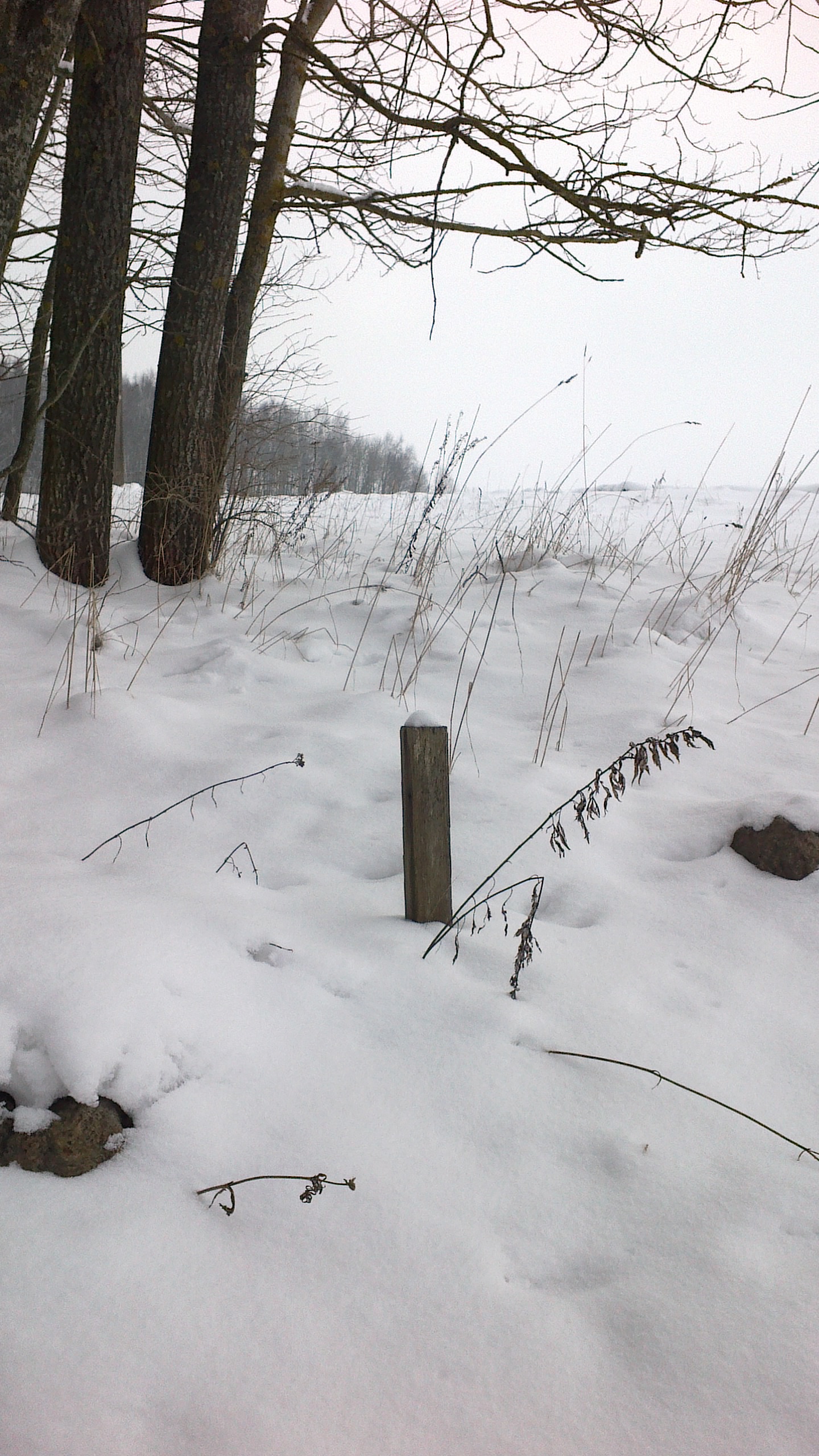 20120214047.jpg