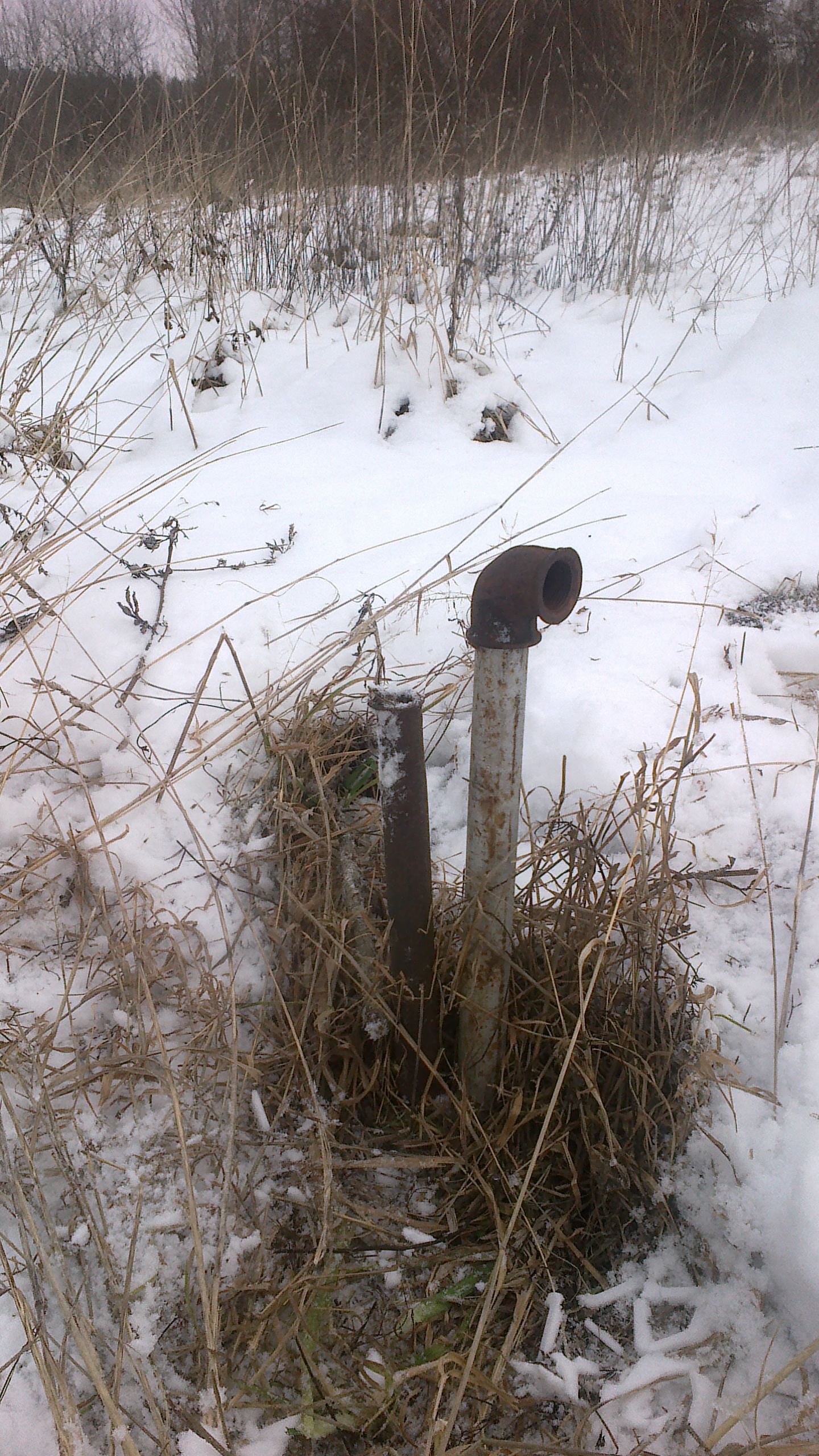 2012-02-28-003.jpg