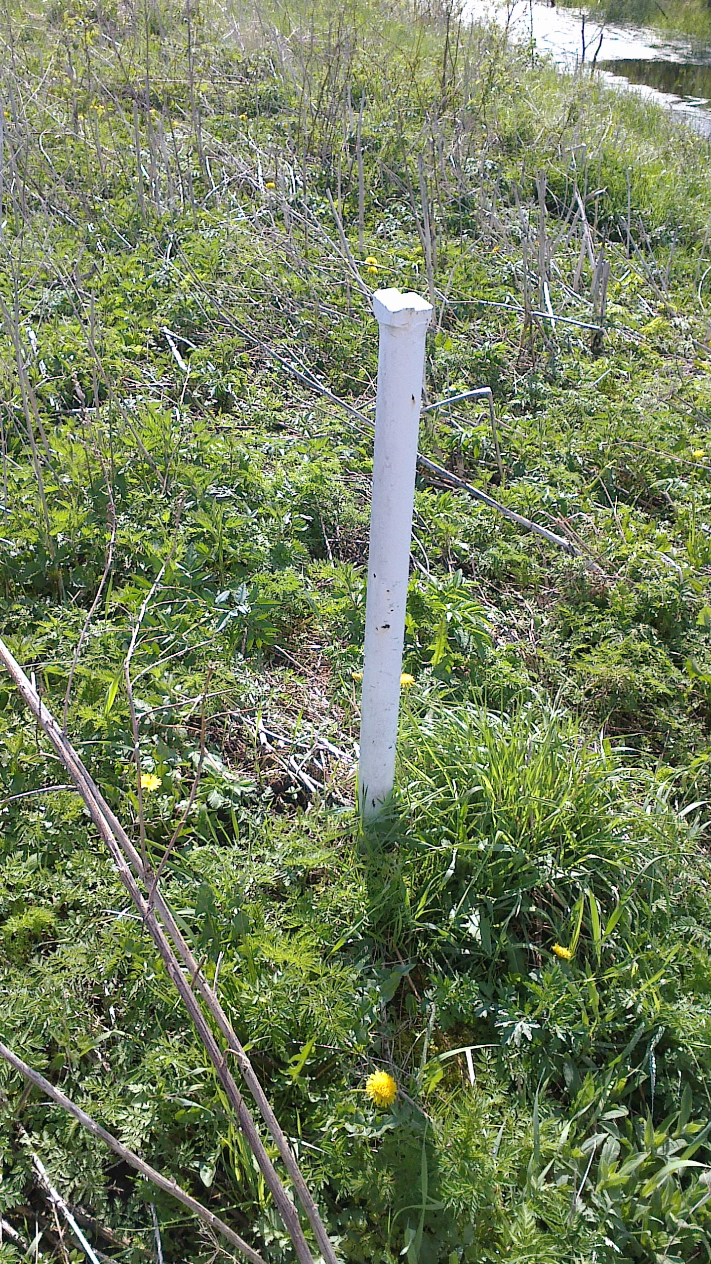 2012-05-08-094.jpg