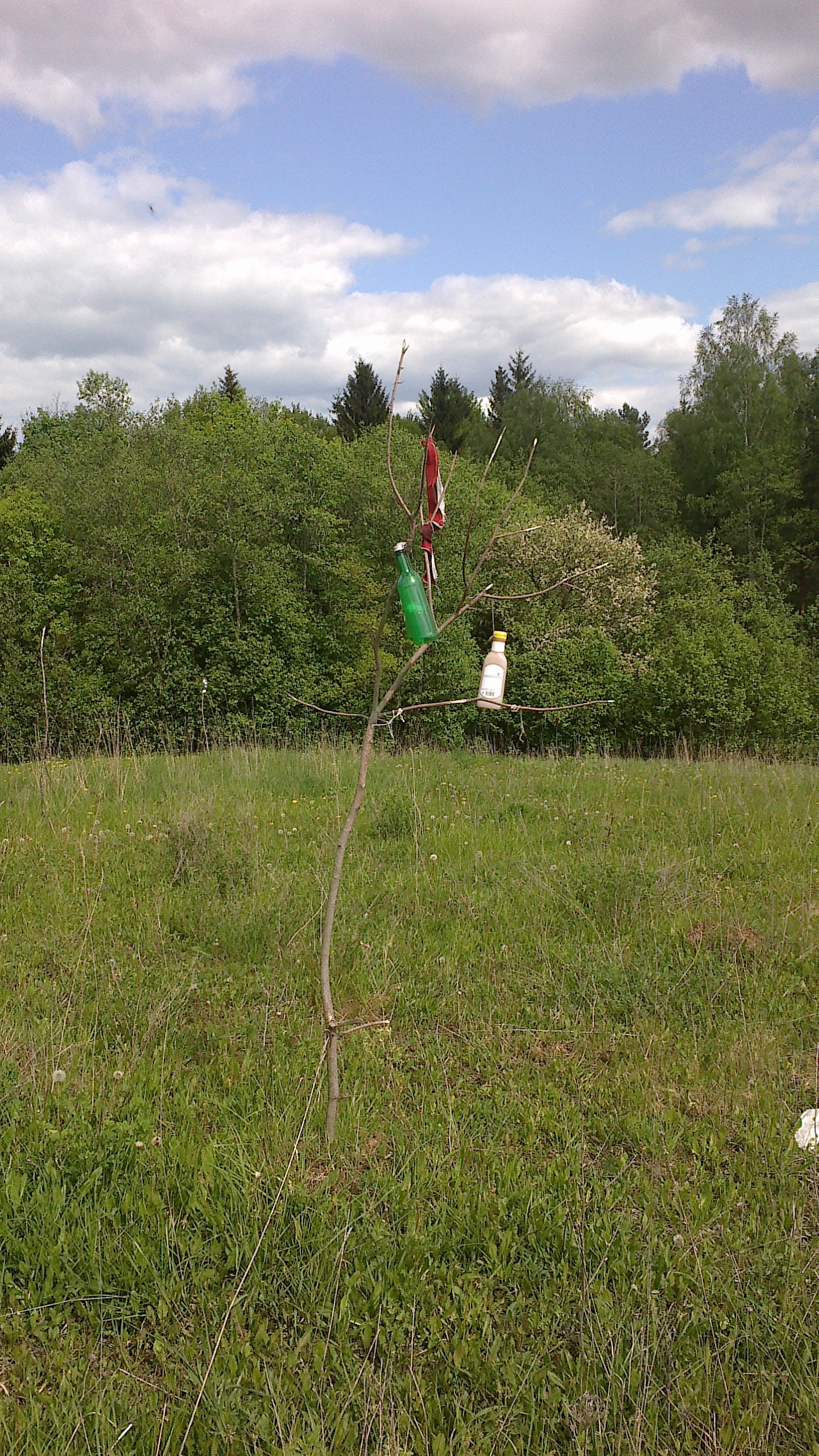 2012-05-14-102.jpg